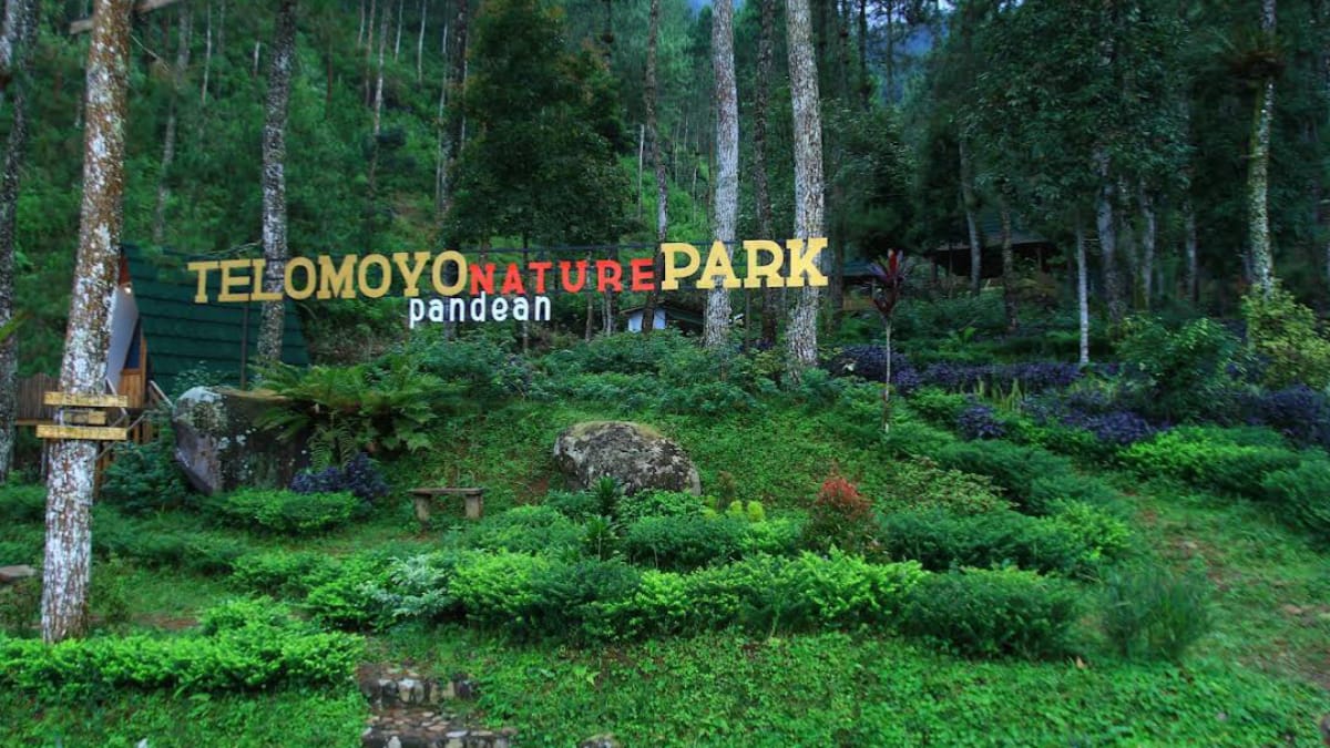 Telomoyo Nature Park: Petualangan Alam di Lereng Gunung Merapi